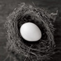 Investcostruzioni